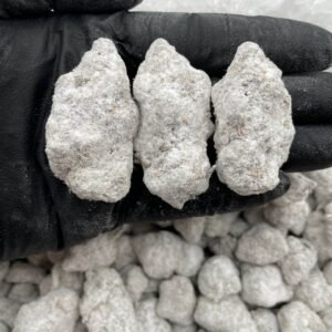 Tropical Burst Snowcap