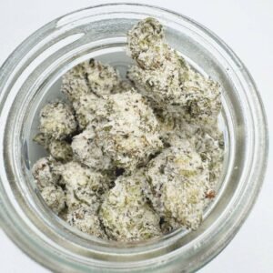 Persy Snowball Minis